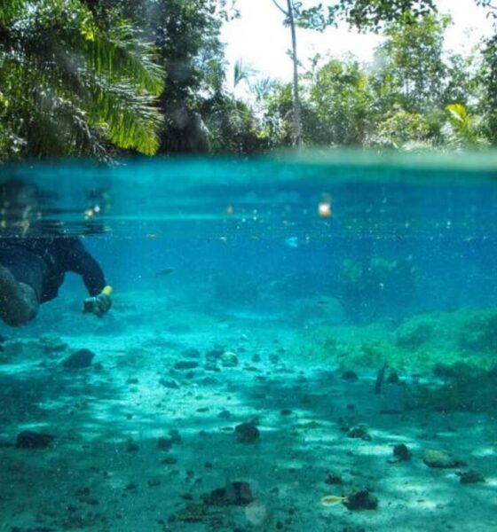 Bonito - A Capital do Ecoturismo Atrai 313.000 Turistas com Investimentos do Governo do MS