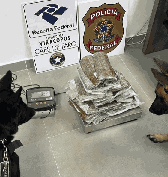 Detenções no Aeroporto Internacional de Viracopos - 12,7 kg de maconha apreendidos