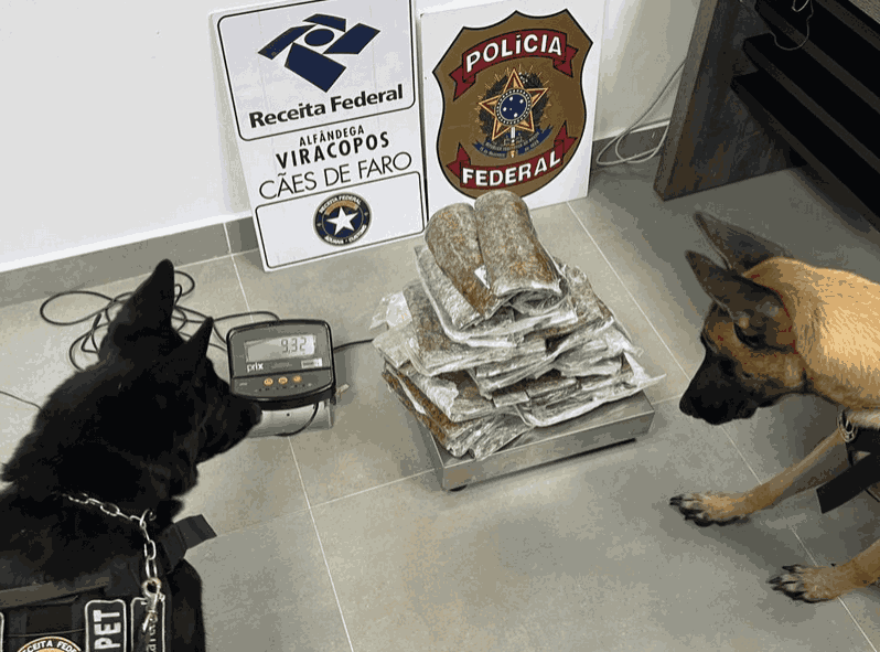 Detenções no Aeroporto Internacional de Viracopos - 12,7 kg de maconha apreendidos