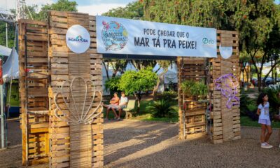 Festival de Verão 2024 de Indaiatuba - Gastronomia e Música à Beira-Mar