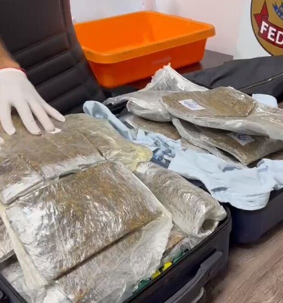 Homem é detido com 9 kg de substâncias ilícitas em Viracopos