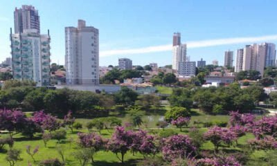 Indaiatuba - Uma das Cidades com Melhor Índice de Efetividade de Gestão Municipal (IEG-M)