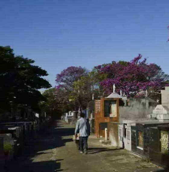 Obituário de Quinta-Feira em Franca