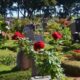Obituários de Segunda-feira em Franca - Uma Reflexão Sobre a Vida e a Morte