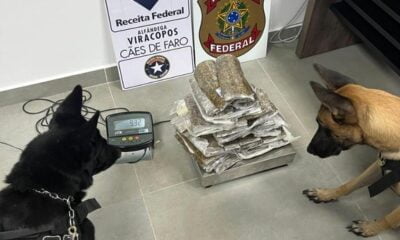 Prisão em Viracopos - Passageiro é detido com 9kg de skunk