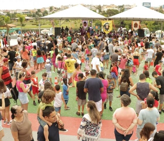 Carnaval de Rua de Indaiatuba - Uma Experiência Diversificada