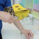 Continuação das Campanhas de Vacinação em Itu