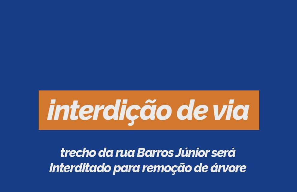Interdição na Rua Barros Júnior - Remoção de Árvore em Salto