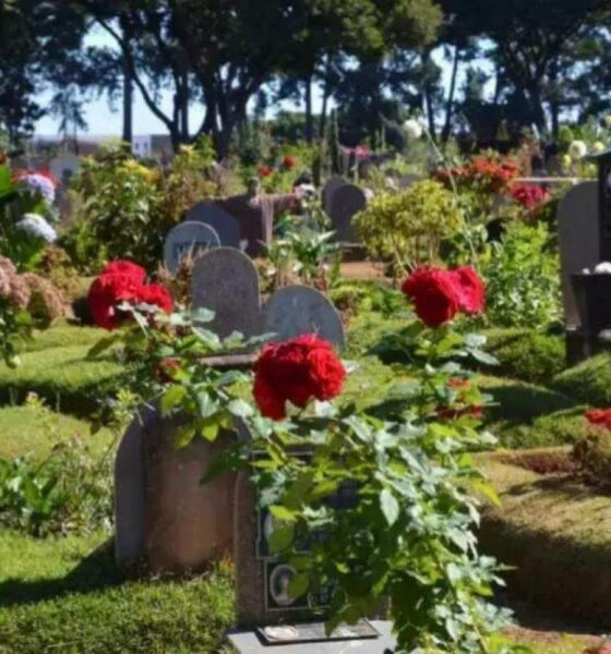 Terça-feira de Luto em Franca - Uma Análise dos Obituários