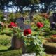 Terça-feira de Luto em Franca - Uma Análise dos Obituários