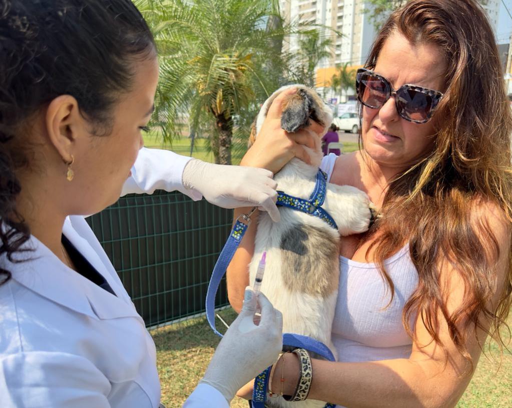 Campanha de Vacinação Contra Raiva para Cães e Gatos em Indaiatuba