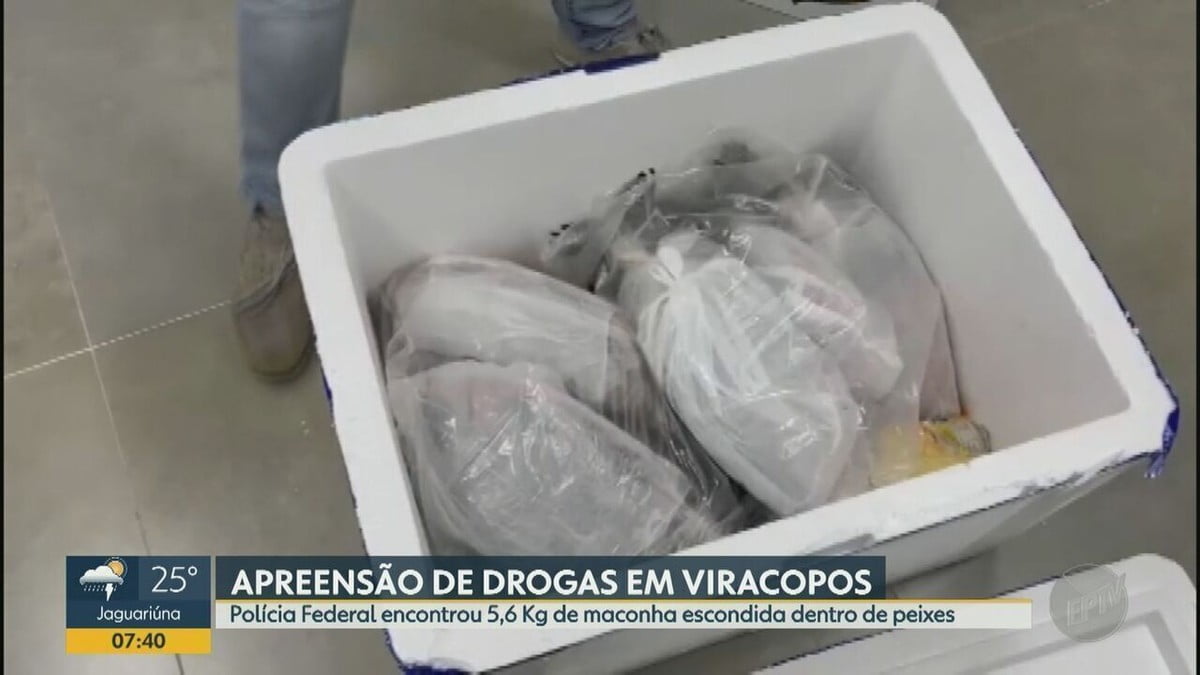 Chegada dos Equipamentos para as Bandas do Lollapalooza São Paulo no Aeroporto de Viracopos