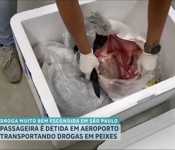 Passageira é presa ao tentar transportar drogas escondidas em peixes no Aeroporto de Viracopos