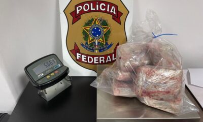 Polícia Federal detém viajante portando 5,6 kg de skunk em peixes congelados