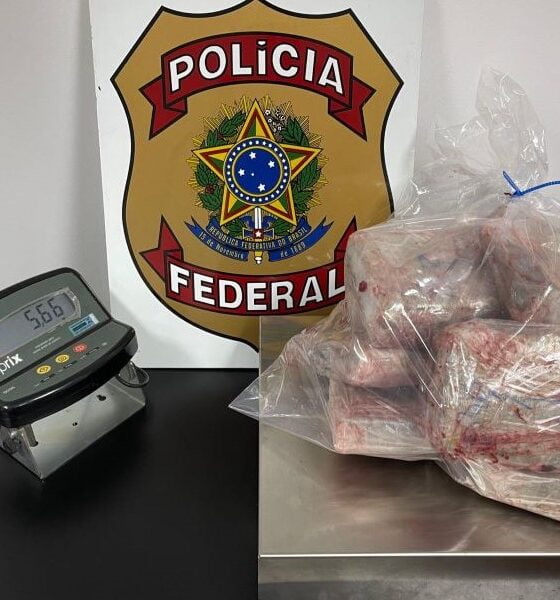 Polícia Federal detém viajante portando 5,6 kg de skunk em peixes congelados