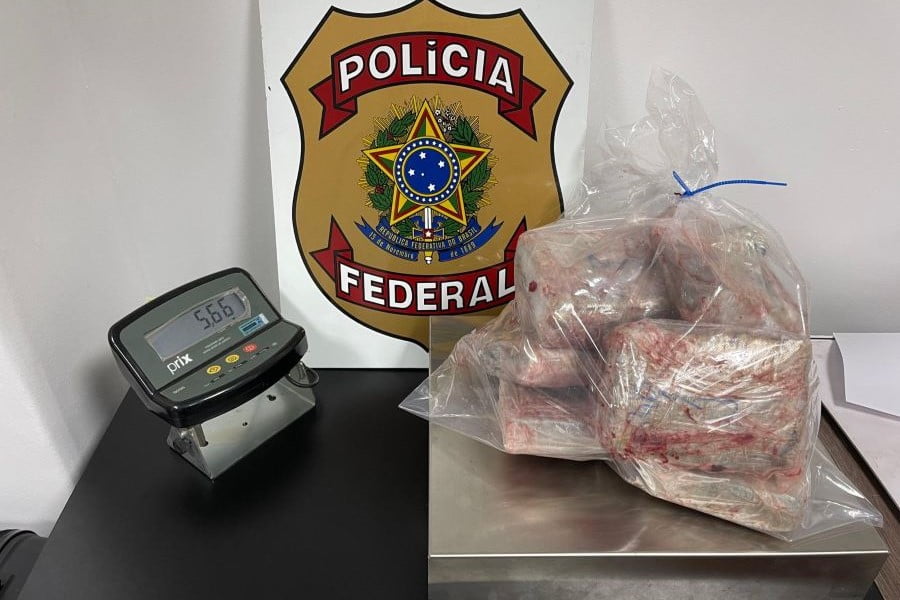 Polícia Federal detém viajante portando 5,6 kg de skunk em peixes congelados