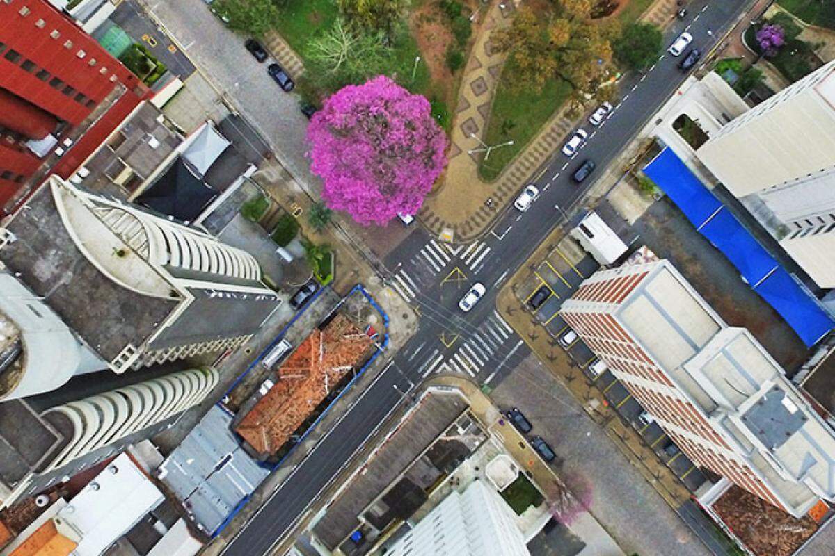Prefeitura de Campinas coloca apartamento residencial à venda