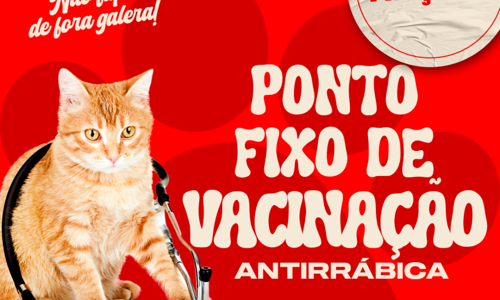 Vacinação antirrábica em Praça XV - Um passo importante para a saúde dos animais
