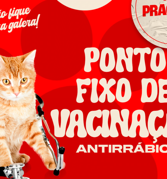 Vacinação antirrábica em Praça XV - Um passo importante para a saúde dos animais