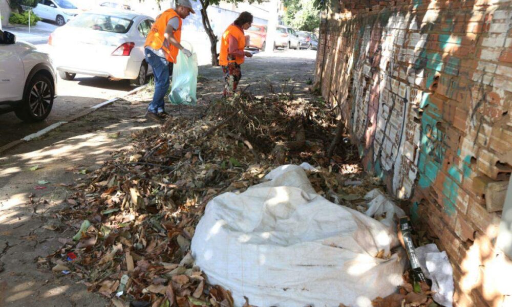 Combate à Dengue - Campinas Estabelece Recorde Com 13 Mutirões e Inspeção em 53 Mil Propriedades