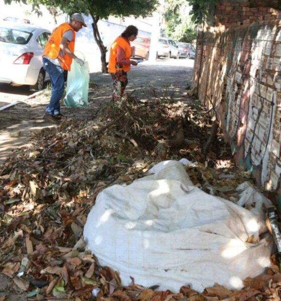 Combate à Dengue - Campinas Estabelece Recorde Com 13 Mutirões e Inspeção em 53 Mil Propriedades