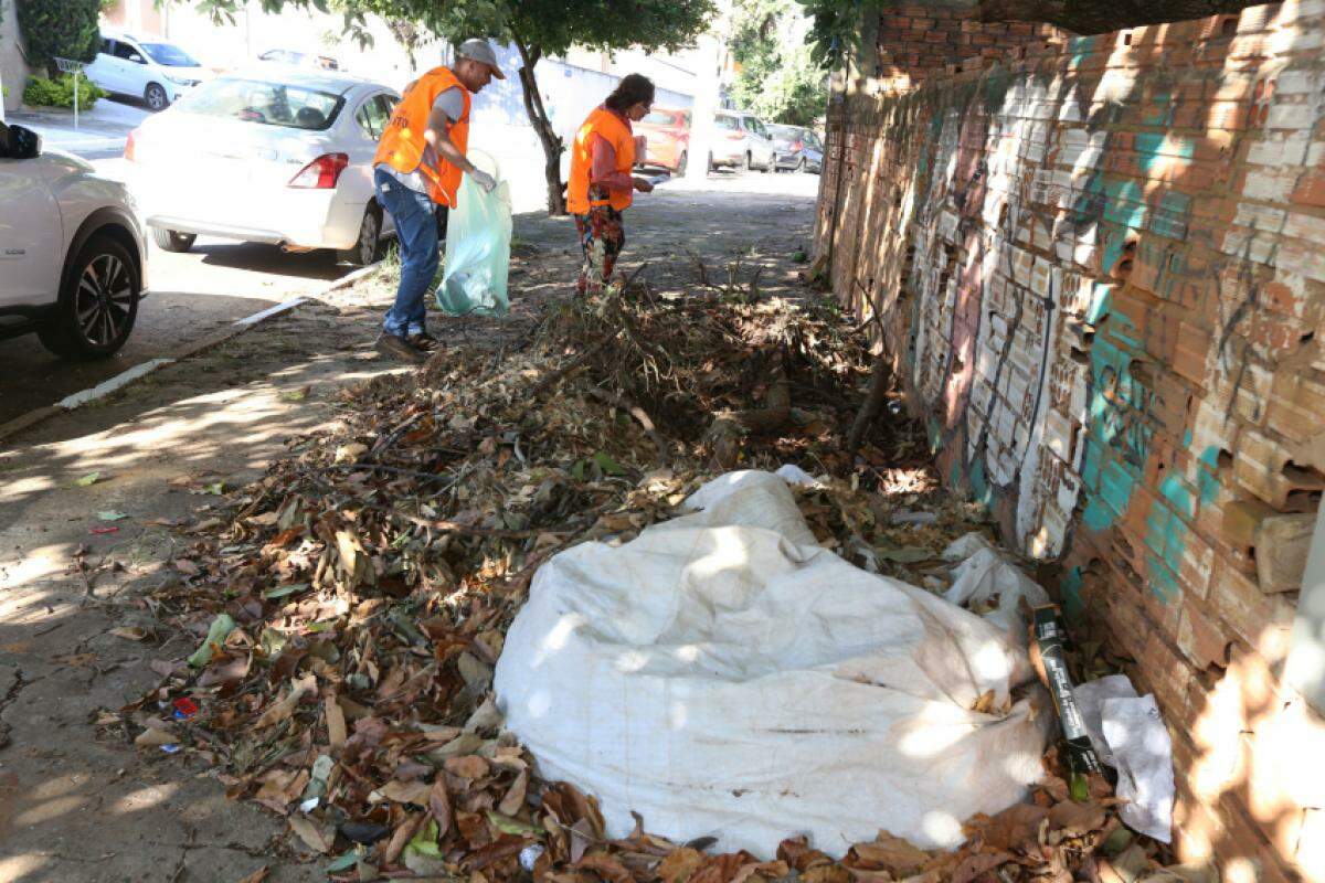 Combate à Dengue - Campinas Estabelece Recorde Com 13 Mutirões e Inspeção em 53 Mil Propriedades