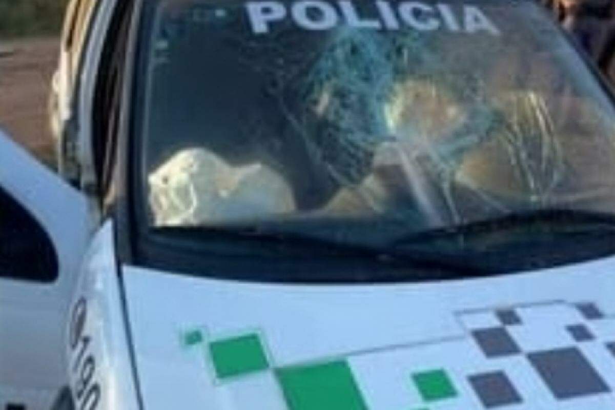 Conflitos com baloeiros em Campinas resultam em policiais feridos