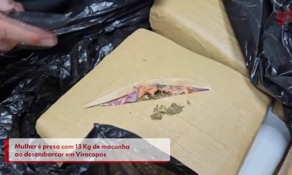 Detenção no Aeroporto de Viracopos - Mulher é Capturada com 13 kg de Maconha