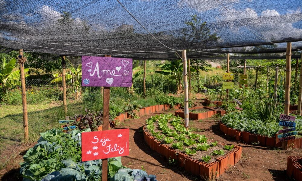 Espaço Agroecológico Sol d'Icaraí - Um Oásis de Atividades de Gestão Agroflorestal