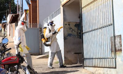 Intensificação das Medidas de Combate à Dengue na Região Central