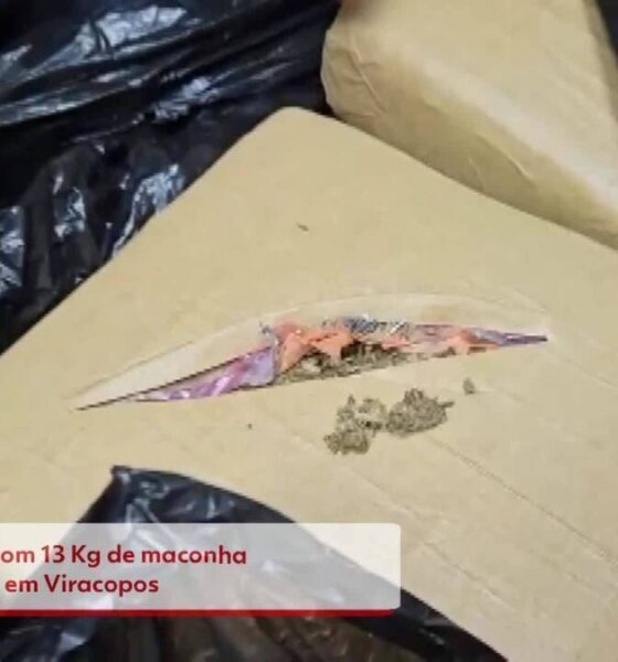 Mulher detida com 13 kg de Cannabis no Aeroporto de Viracopos