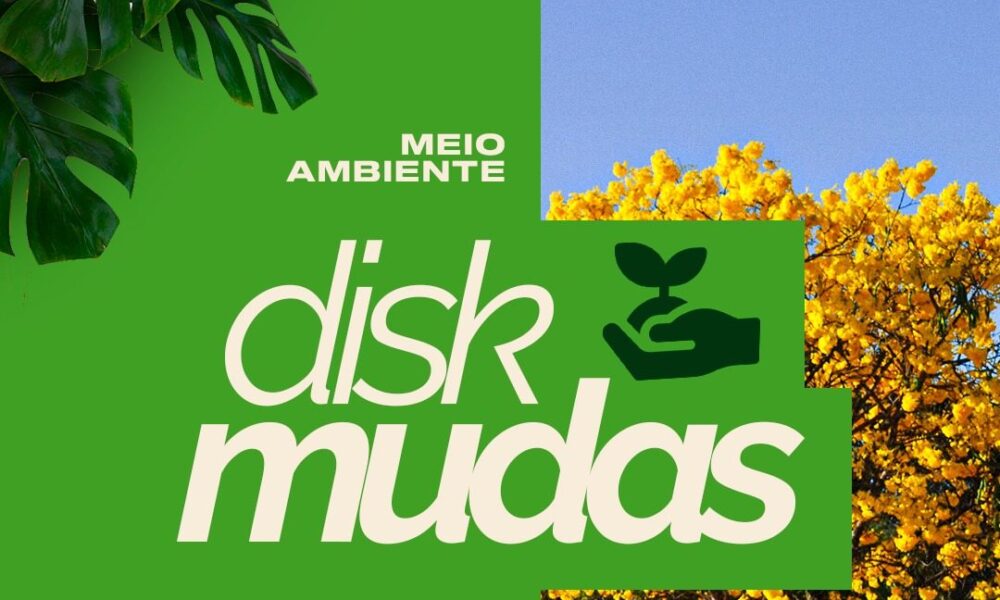 Projeto Disk Mudas - Uma iniciativa rumo à preservação ambiental e reflorestamento