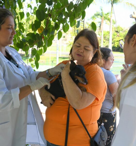 UniMAX e Saúde de Indaiatuba unem forças para imunizar 134 pets contra a raiva