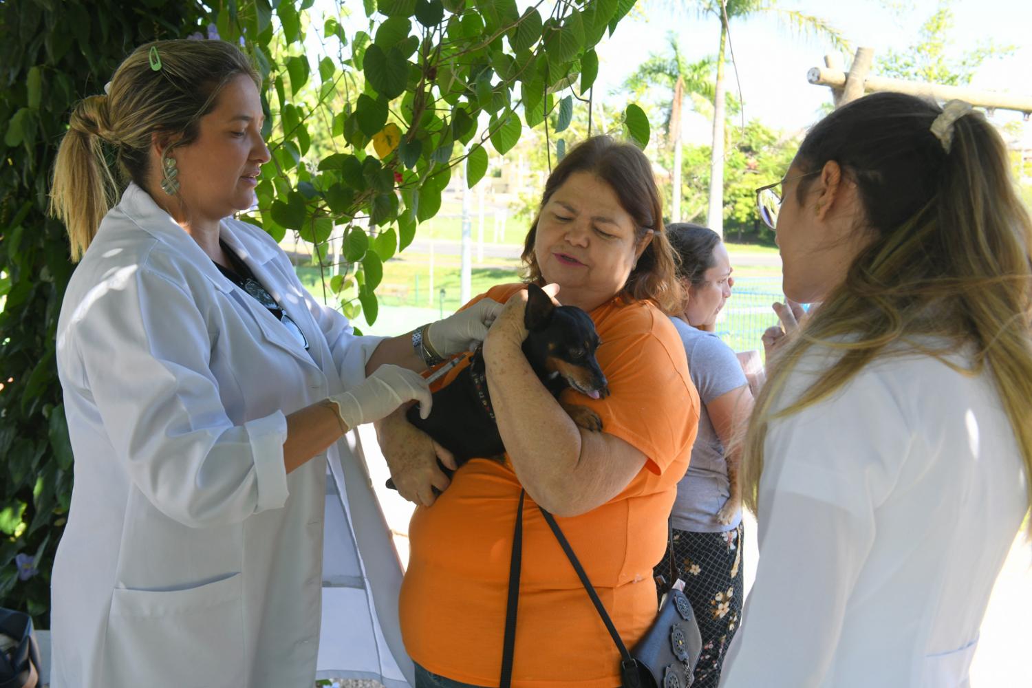 UniMAX e Saúde de Indaiatuba unem forças para imunizar 134 pets contra a raiva
