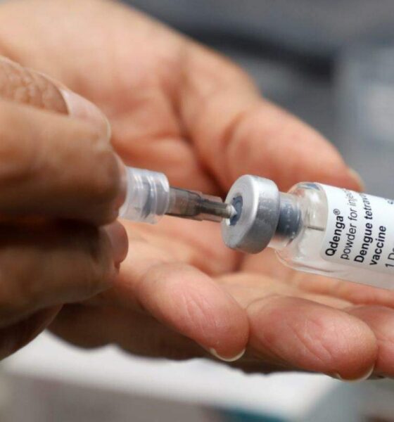 Vacinação contra a Dengue em Campinas - Uma análise detalhada