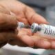 Vacinação contra a Dengue em Campinas - Uma análise detalhada