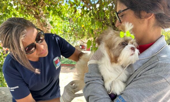 Vacinação de cães e gatos contra a raiva em Indaiatuba neste sábado