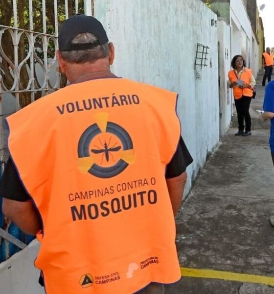 Campinas Intensifica Esforços para Combater a Epidemia de Dengue com Novo Mutirão