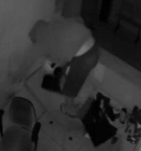 Criminoso Destemido - Cenas de Vandalismo e Roubo Assustam Loja em Campinas