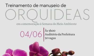 Descubra Como Cuidar de Orquídeas com Aulas Gratuitas da Prefeitura