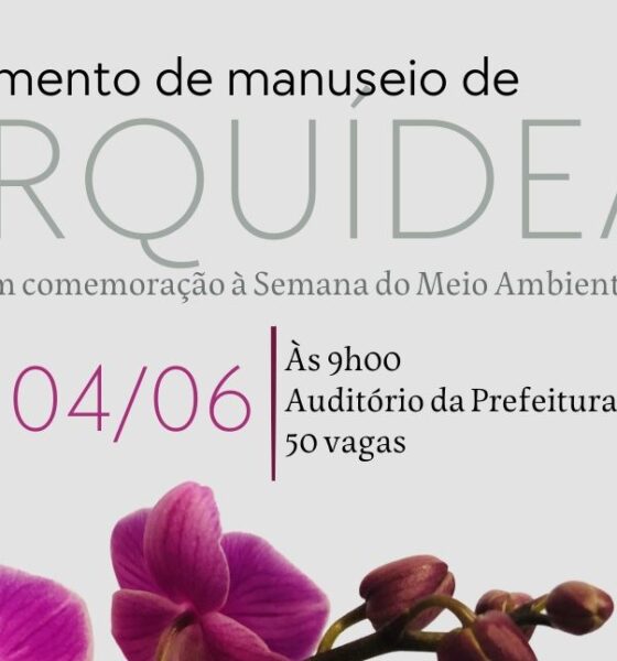 Descubra Como Cuidar de Orquídeas com Aulas Gratuitas da Prefeitura