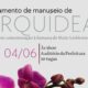 Descubra Como Cuidar de Orquídeas com Aulas Gratuitas da Prefeitura