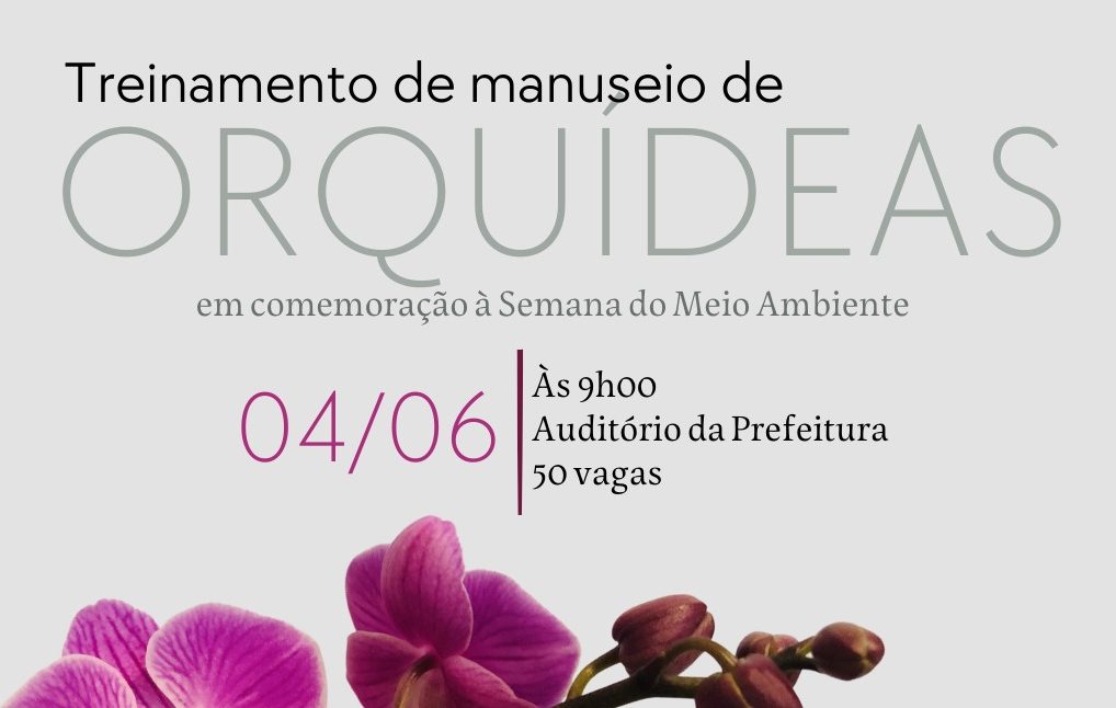 Descubra Como Cuidar de Orquídeas com Aulas Gratuitas da Prefeitura