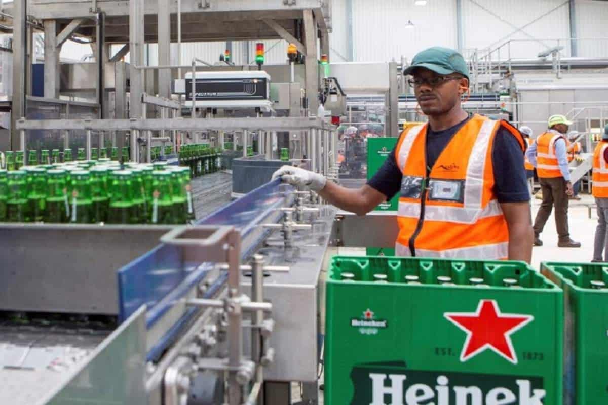 Gigante Cervejeiro Heineken Abre Vagas de Empregos com Salários de Até R$ 6 Mil em Diversas Regiões do Brasil