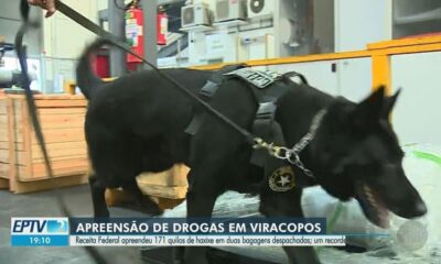 Megaapreensão de Haxixe pela Receita Federal em Viracopos Expõe Tráfico Internacional de Drogas