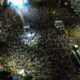 Multidão Vibra com Espetáculo Gratuito de Michel Teló na Praça Pública