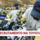 Oportunidades de Carreira na Toyota do Brasil - Um Caminho para o Sucesso Profissional