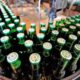 Oportunidades de Emprego na Heineken - Vagas Abertas em Diversos Estados Brasileiros