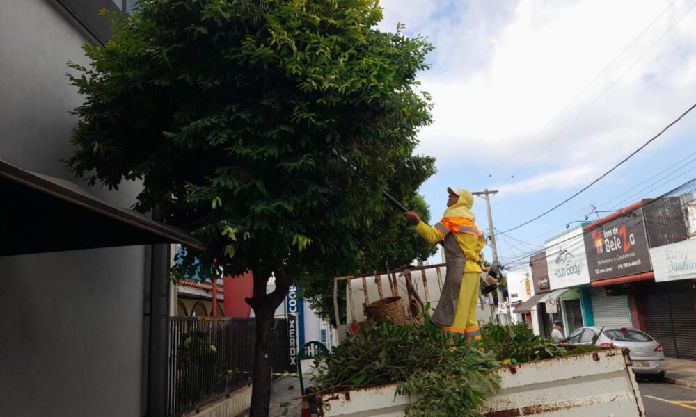 Prefeitura de Indaiatuba Emite Alerta sobre Fraudes Relacionadas à Poda de Árvores