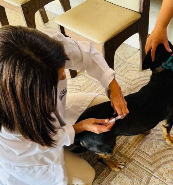 Proteja Seu Pet - Campanha de Vacinação Antirrábica em Salto